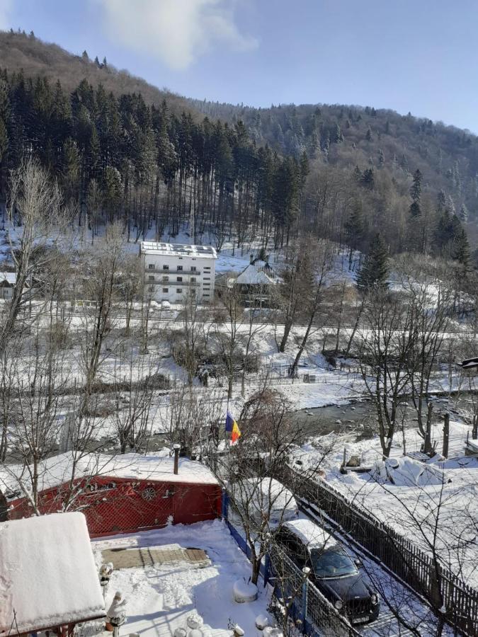 Casa Ryana Sinaia Hotell Eksteriør bilde