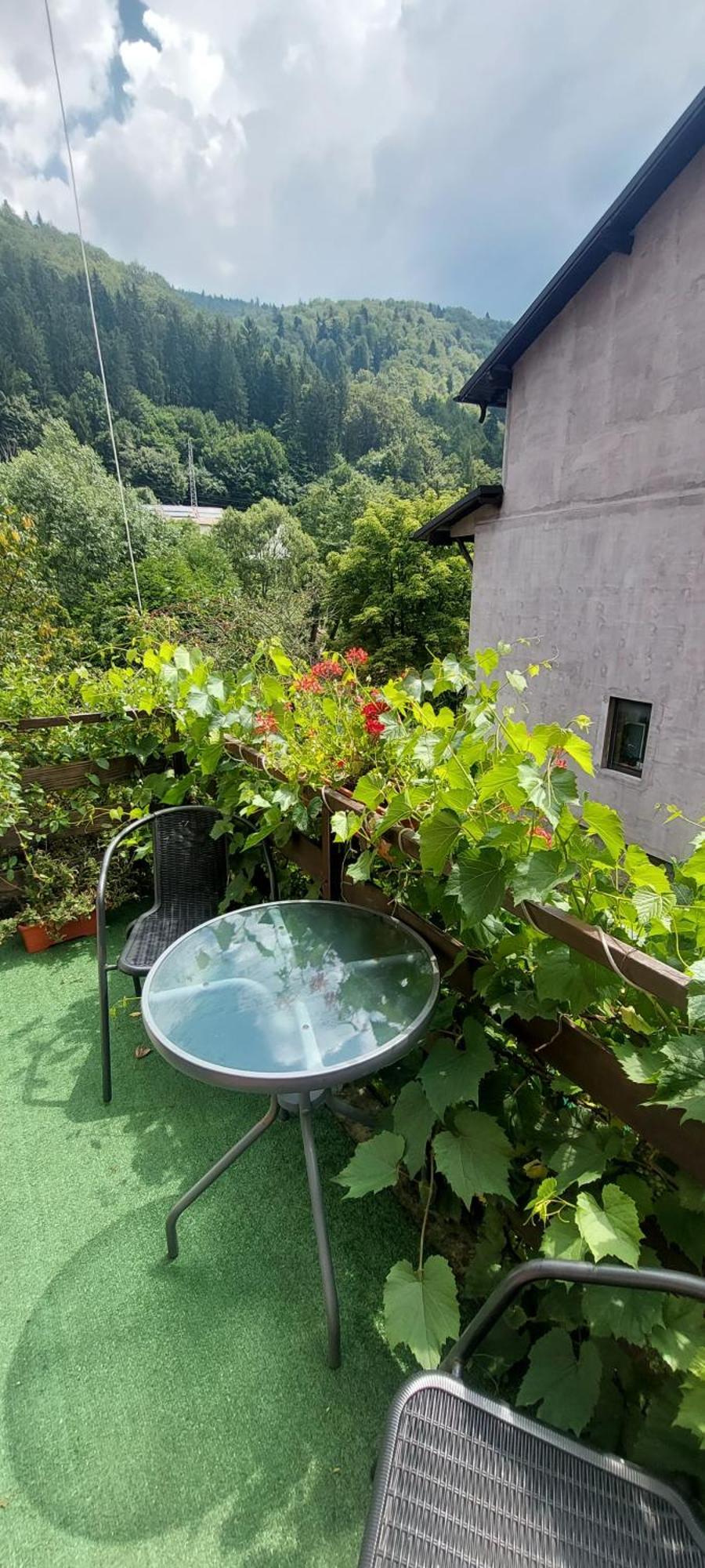 Casa Ryana Sinaia Hotell Eksteriør bilde
